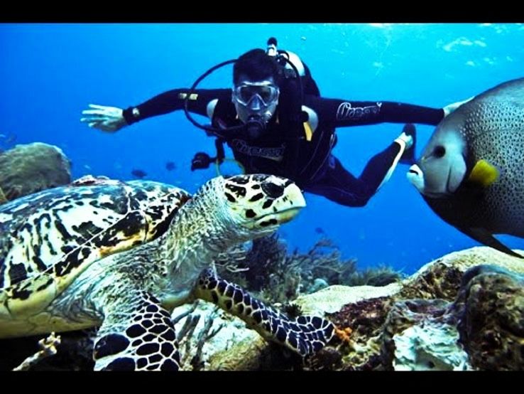 5. The Andaman and Nicobar Islands - Scuba Diving